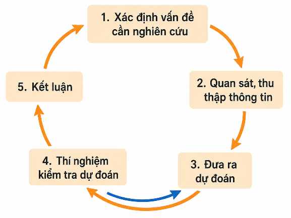 Hình minh họa