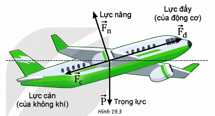 Hình minh họa