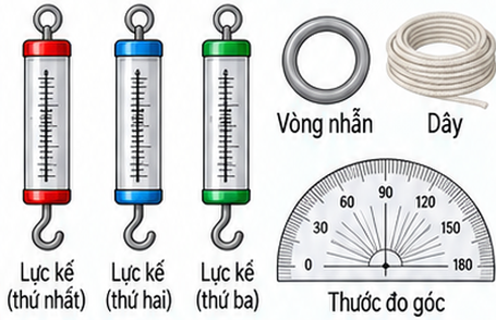 Hình minh họa