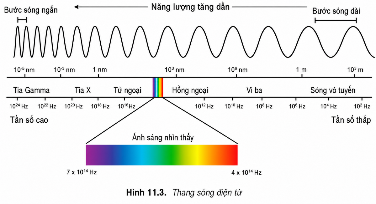 Hình minh họa