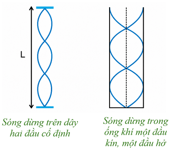 Hình minh họa