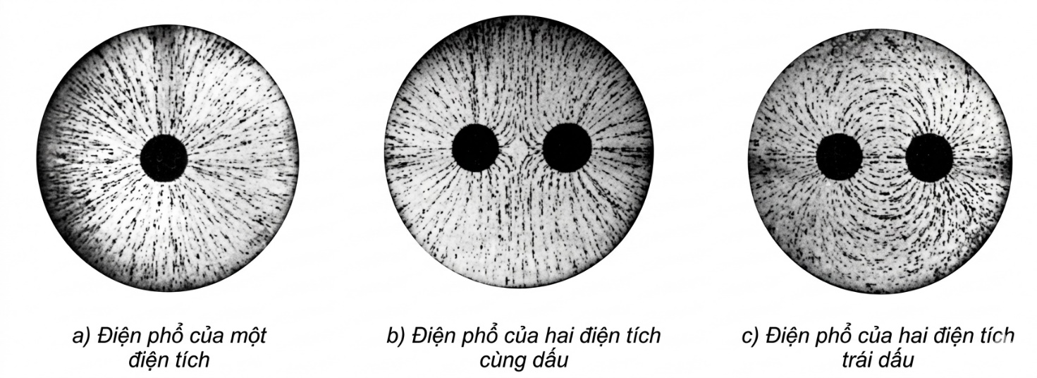 Hình minh họa
