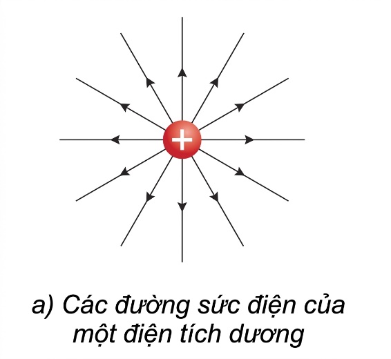 Hình minh họa