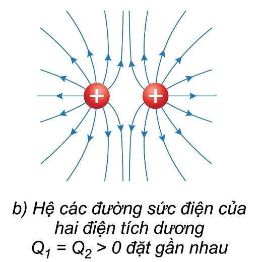 Hình minh họa