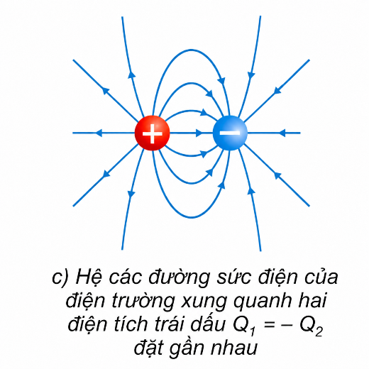 Hình minh họa