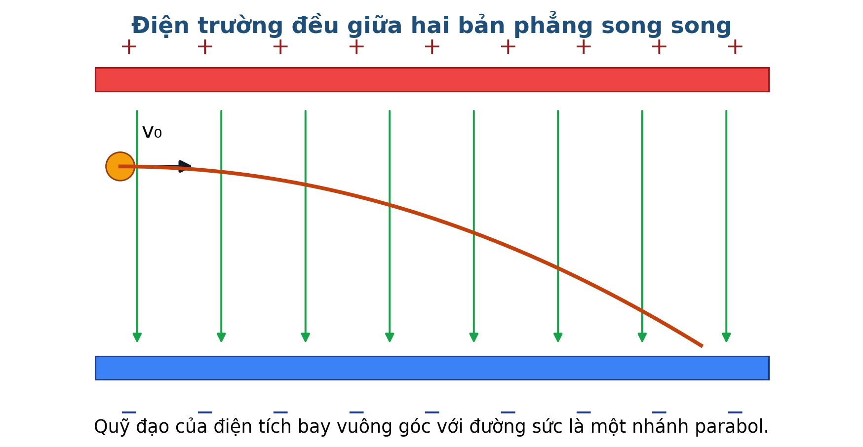 Hình minh họa