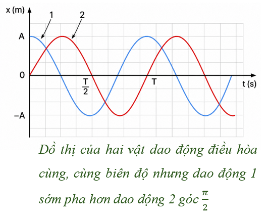 Hình minh họa