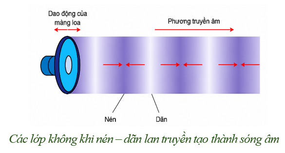 Hình minh họa