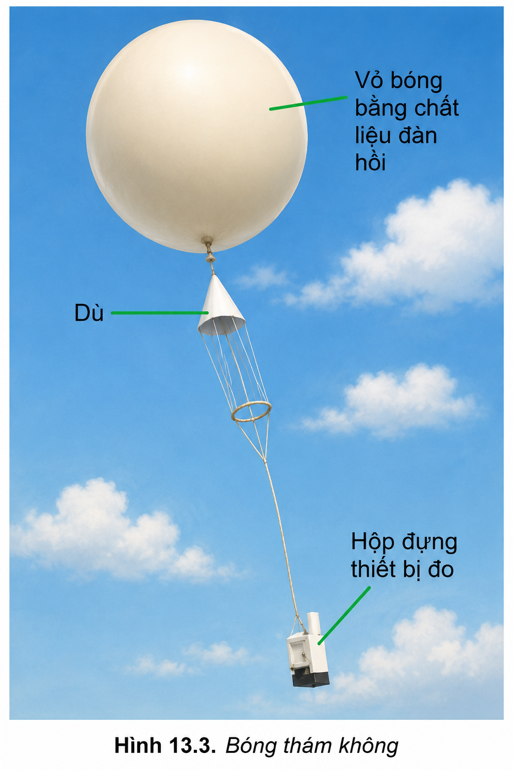 Hình minh họa