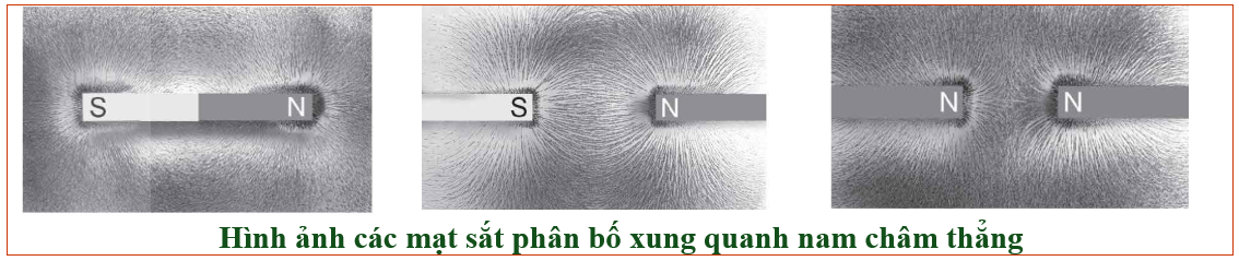 Hình minh họa