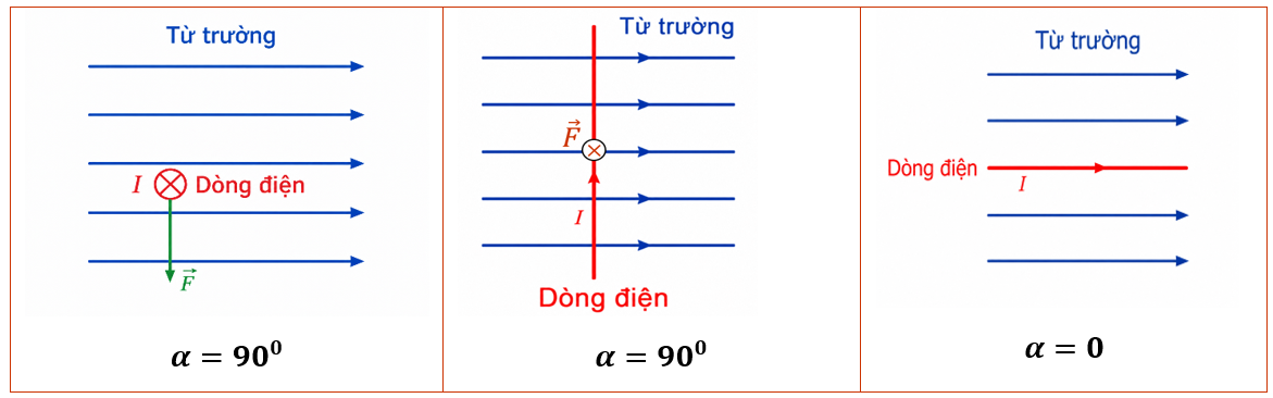 Hình minh họa