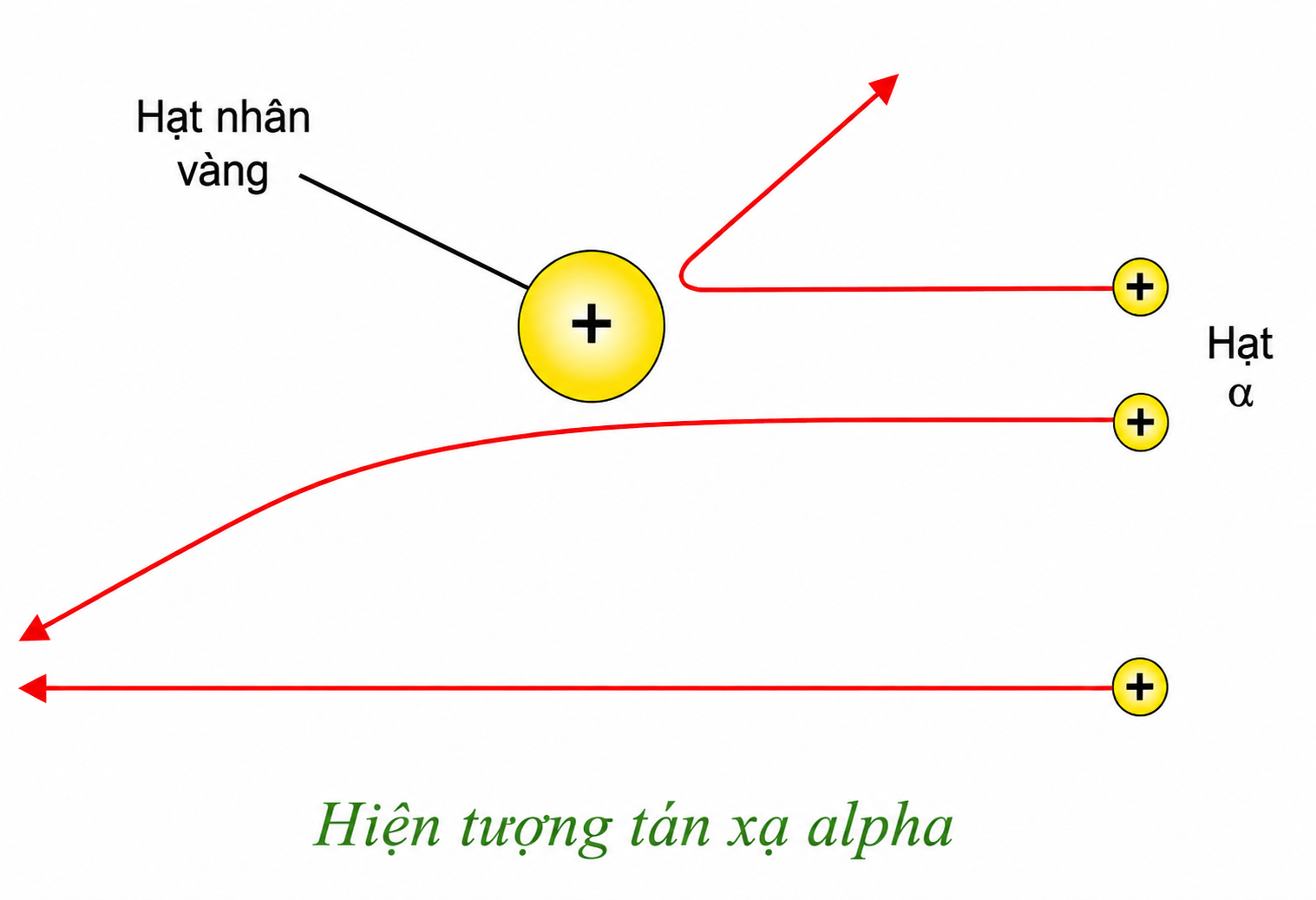 Hình minh họa