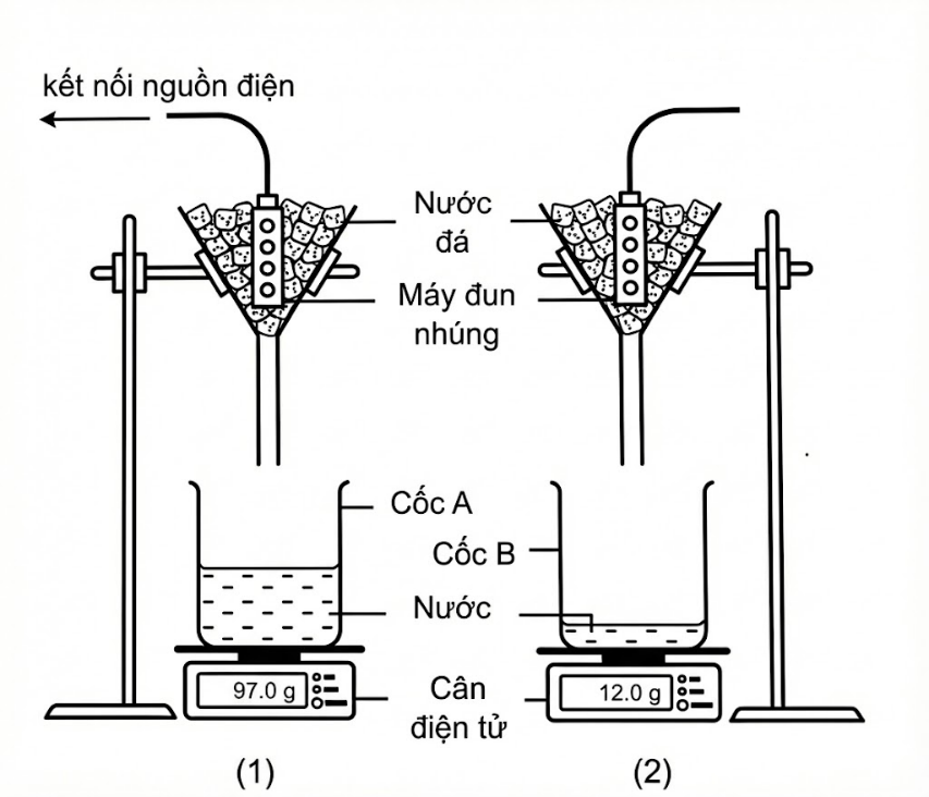Hình minh họa