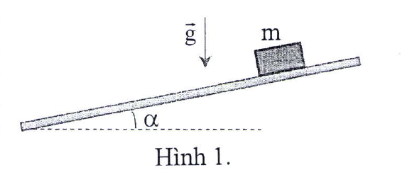 Hình minh họa