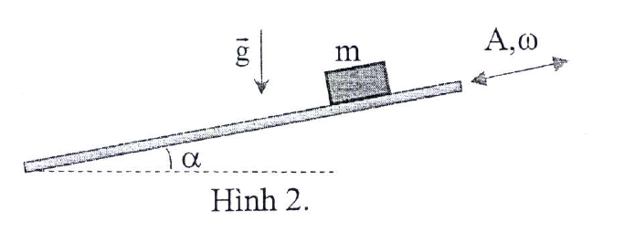 Hình minh họa